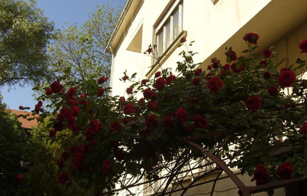 Home Away Apartment Budapest Værelse billede